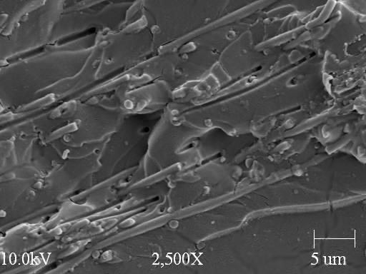 110 (a) (b) Figure 4.18: SEM images of fracture surface of random nanofiber reinforced composites 4.