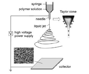 9 Figure 1.5: A setup for electrospinning [61] The drop of polymer solution at the nozzle will become highly electrified, when a high voltage is applied.