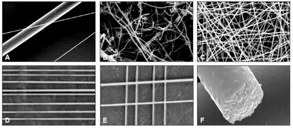 13 Figure 1.8: SEM images of nanofibers [56] 1.5.1 Applications of Electrospun Nanofibers Electrospun nanofibers are currently considered for a broad variety of applications.