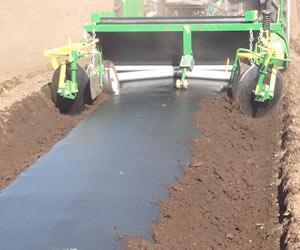 The Solution: Soil Biodegradable ecovio F Mulch Functional Performance; Yield