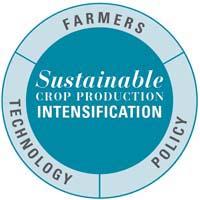 Sustainable Crop Production Intensification (SCPI) SCPI aims to increase crop production per unit area, taking into consideration all relevant factors affecting the productivity and sustainability in