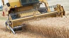 management Crop processing Crop transport & handling equipment Education & training Grain harvesting Insurance Logistics Distribution Marketing organizations Nodal government agencies