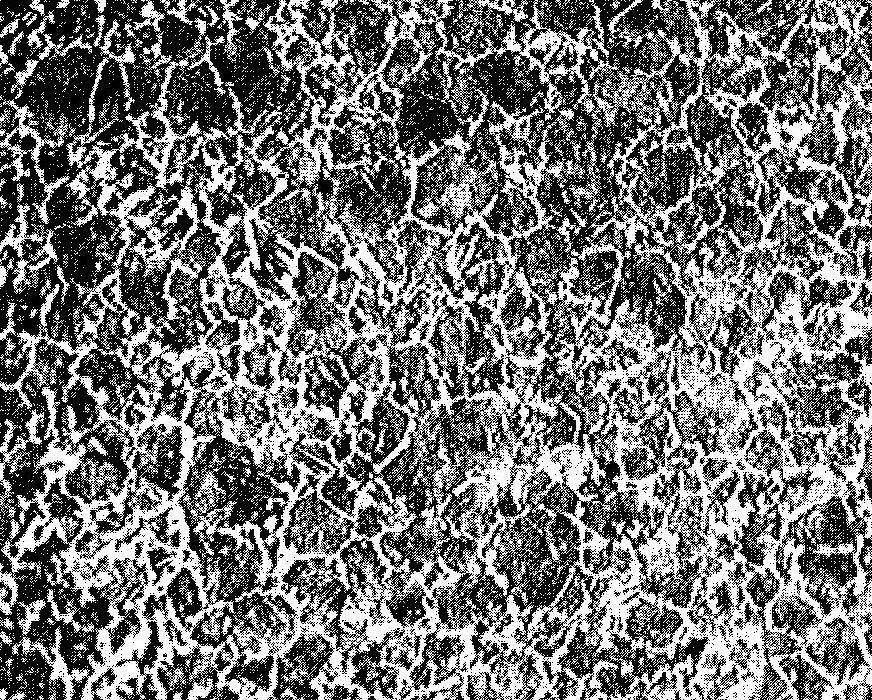 Micrograph 1: Microstructure of As-Received Plain Carbon Steel.
