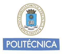 the Polytechnic University of Madrid (UPM) Head of Port