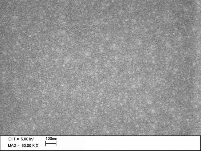 surface views of the coating containing 25% of inorganic particles showed in Figure 1 includes micrographs of the as received surface (a), and the surface after 30 seconds of plasma ashing to remove