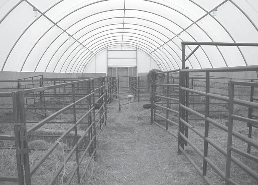 7 Figure 5. Inside of a typical hoop barn used for calving. Figure 6. End open during mild weather. In the Midwest, both ends would most likely be open in mild weather.