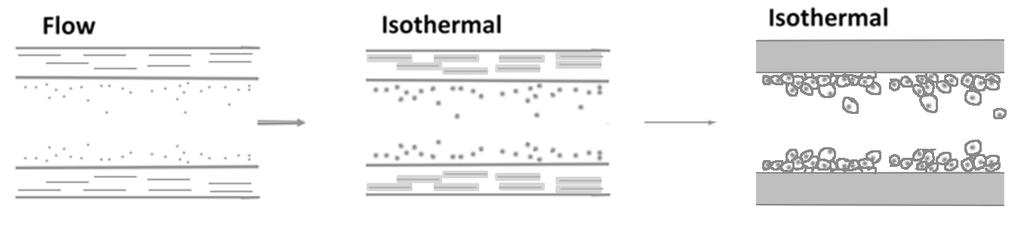 64 Figure 3.4 Schematic representation of crystallization of ipp under and after flow during duct flow experiment.