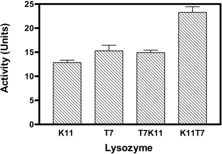 Characterization of Hybrid Lysozymes between T7 and K11 Lysozymes 543 Table 1.