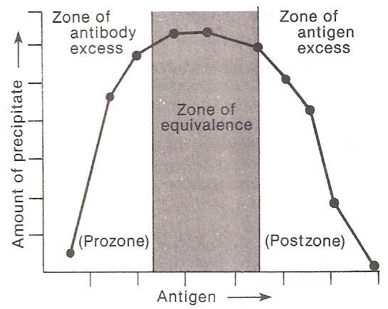 (a) The area containing excess antigen is known as the postzone. (b) In extreme antigen excess, the complex will be trimolecular (e.g., one antibody molecules for every two antigen molecules).