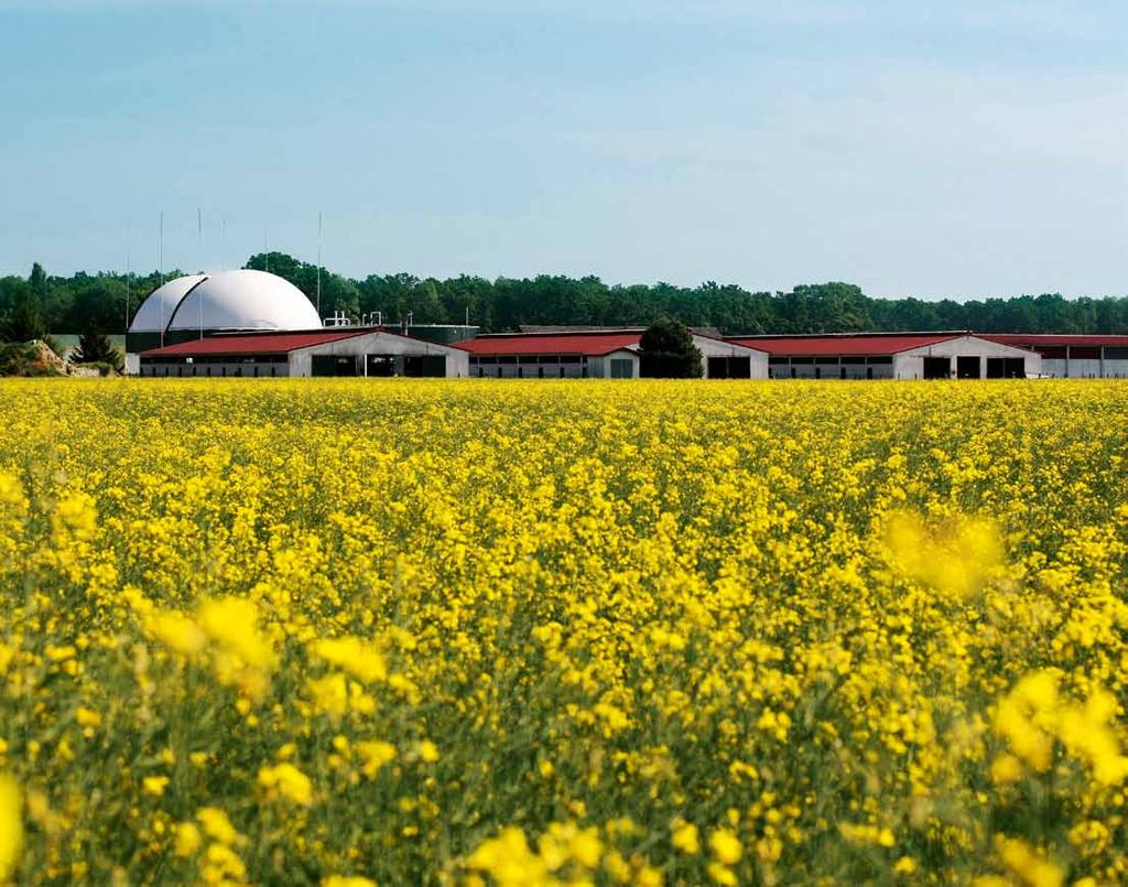 Biogas Usage: Biogas has the same characteristics as natural gas. Herefore, it can be used for the same purposes.