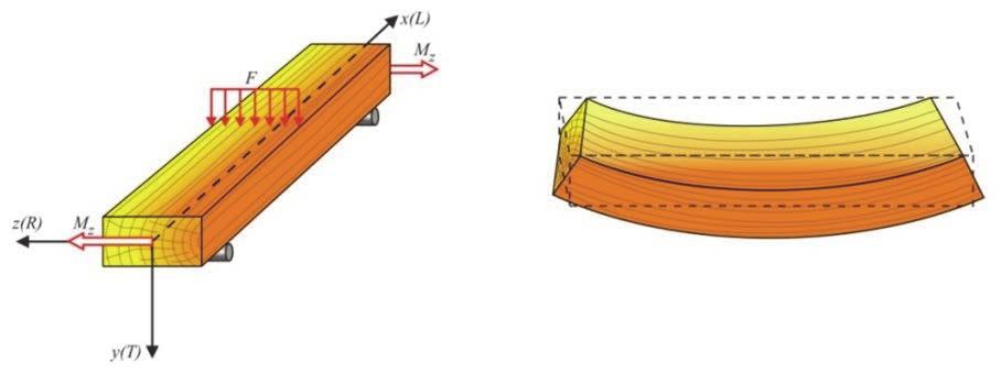 The wave response of deformation depends on the characteristics of the material, namely its elastic properties.