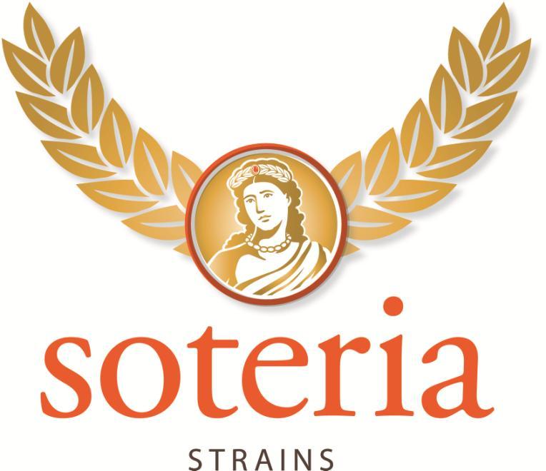 Soteria Strains Safe Patient Handling and Mobility Program Guide Section 1 - Setting the Stage 1.