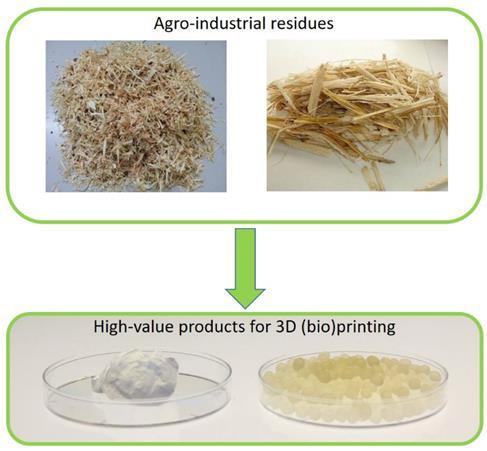 3D Printing ValBio-3D: Valorization of residual biomass for advanced 3D materials A multi-disciplinary project between European and South American key R&D groups and industry.