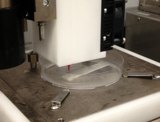 nanocellulose 3D bioprinting