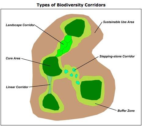 Issue 3: how to use our knowledge of biodiversity