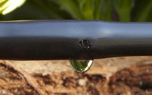 DROPS4CROPS Improvement of the water use for the production of