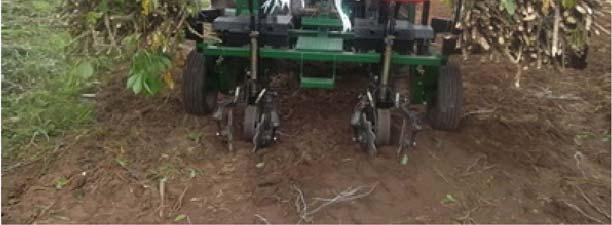 The development of appropriate mechanization tool is critical for expanding the production and market for cassava now and in future.