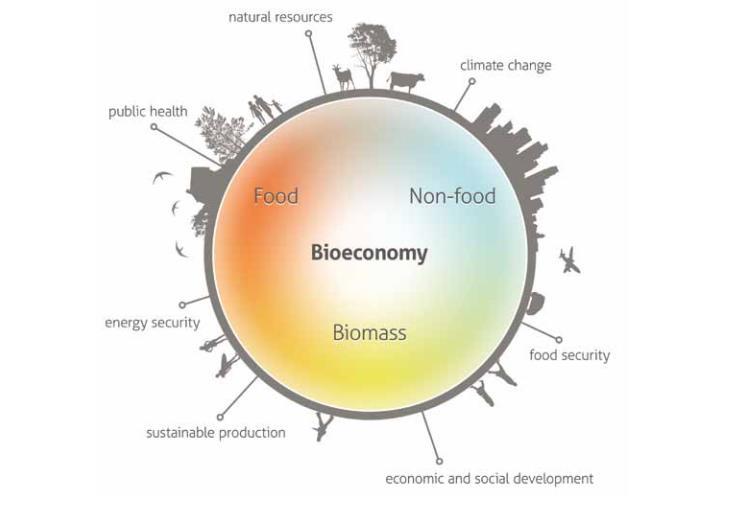 Bioeconomy Natural resources Climate Change Public Health Energy security Food security