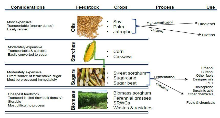 Primary bio-based feedstocks Source: (Golden &
