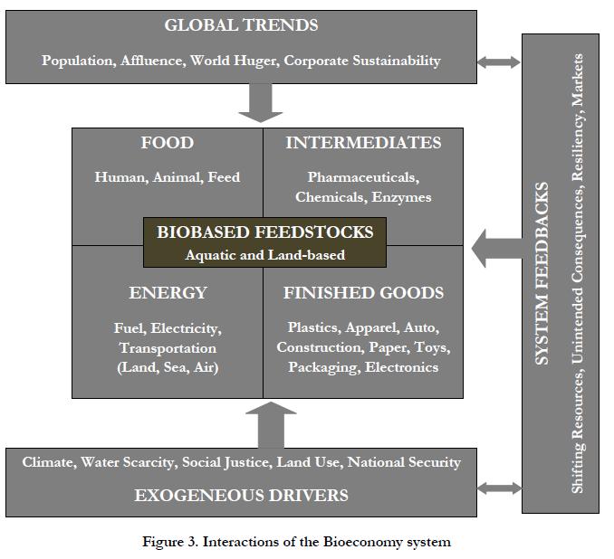 Interactions of the Bio-economy System Source: (Golden &