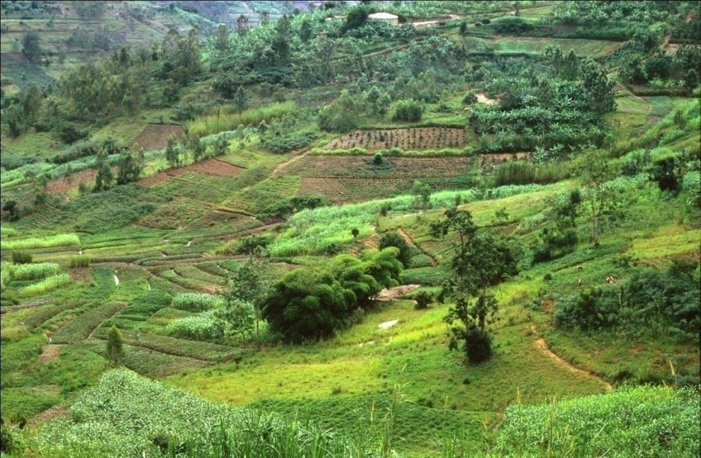 Agroforests are thus components of Socio-ecological production landscapes SEPLs are dynamic mosaics of habitats and land uses that have been shaped