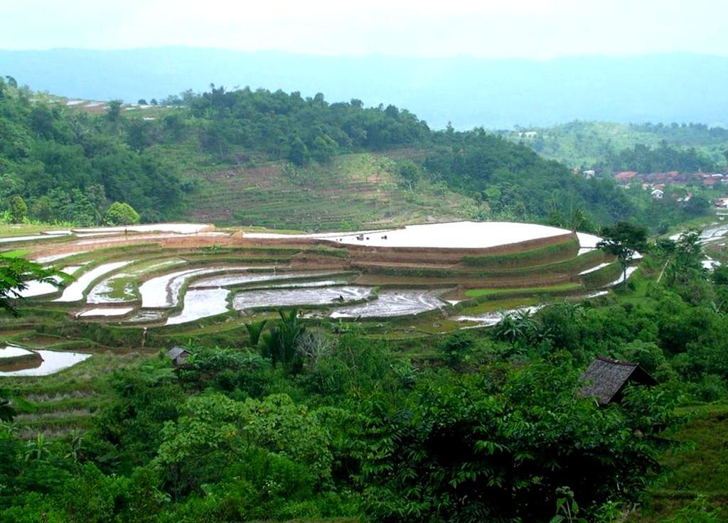 SEPLs Case West Java, Indonesia West Java is highly populated, and most land is a mosaic of rice paddy fields, agroforestry,