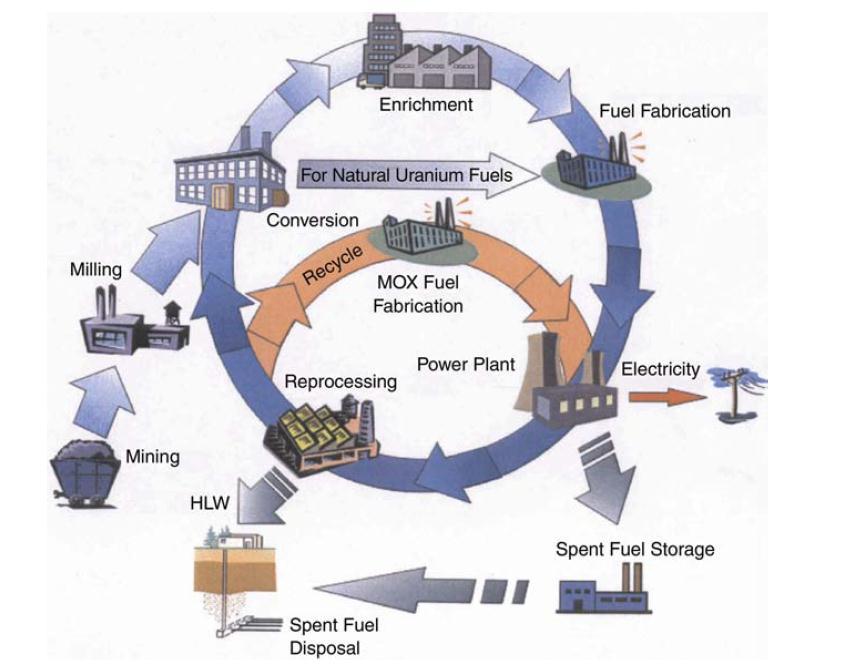 Light water reactor fuel cycle