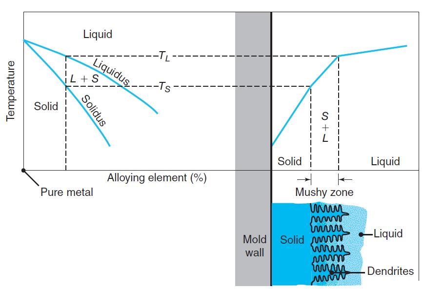 Solidification of Metals: Alloys Solidification in alloys starts when below liquidus and complete when it reaches the solidus Alloy in a mushy or