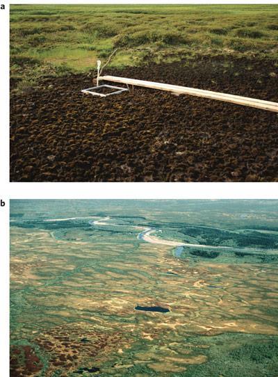Permafrost non-carbon feedbacks High N 2 O emissions found from bare peat surfaces, a common land form in permafrost peatlands.