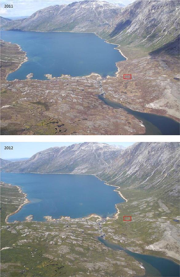 Arctic browning Concept developed to describe different kinds of disturbances, opposing the greening trend Thermokarst Fire Pest
