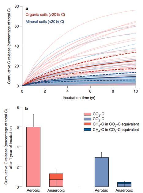 Projected changes C emissions from anaerobic incubations are only 15-20% of those from aerobic ones (considering GWP) Even lower at field conditions, where CH4 oxidation takes place Thus