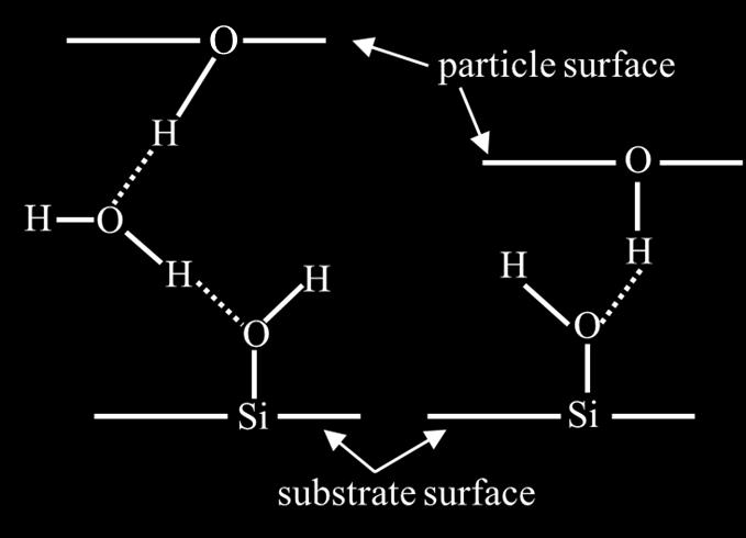 Surface interaction (hydrogen bonding) Hydrogen bonding between Si surface and oxide particle Hydrogen bonding with silica (F H-bond ) Van der Waals force with silica (F vdw ) 600 nn 30 nn Hydrogen