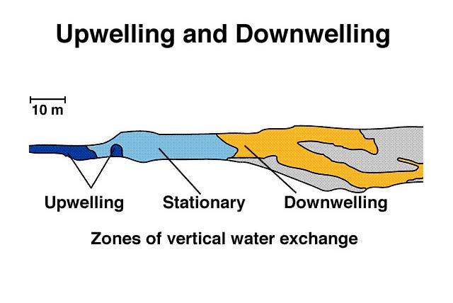 Replicate Disturbances and Desert Stream Stability Sycamore Creek, Arizona Valett et al.