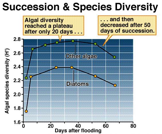 Ecosystem Changes During Succession Ecosystem changes during succession include increases in biomass, primary production,