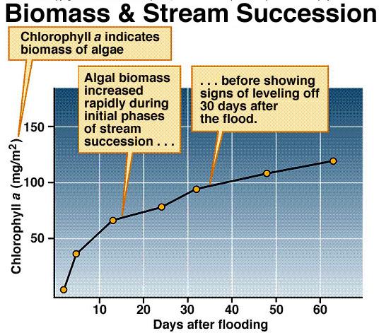 Succession and stream ecosystem properties Algal biomass