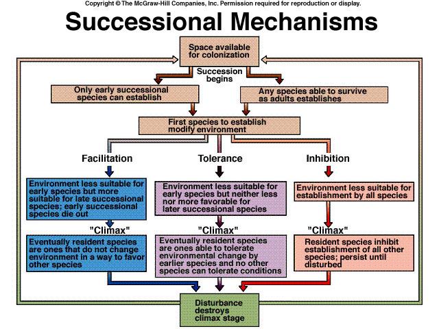 Mechanisms of Succession Clements (1916): Facilitation Connell and Slayter (1977): Facilitation Tolerance Inhibition Most of the current evidences support the facilitation model, the inhibition