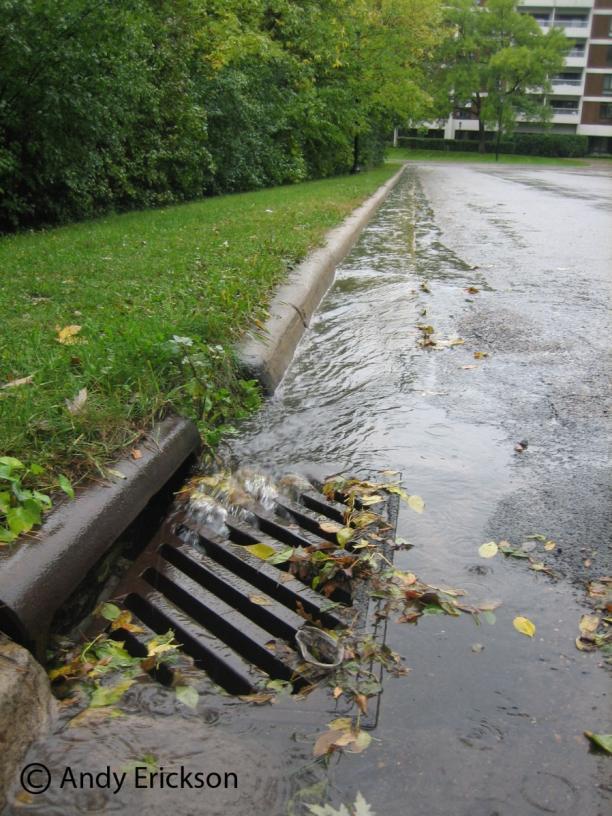 Amendments to Filtration What s in Stormwater?