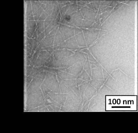 Chem/Mech Cellulose Nanocrystals