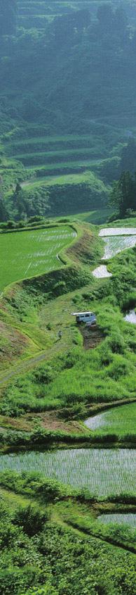 The Satoyama Landscape Nurturing of Traditional Village Culture Celebrating the transplanting of the rice seedlings Shimonoseki City,