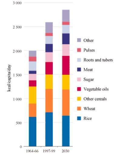 Dietary changes in developing countries,