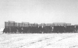 June 2002 Agdex 711-1 Portable Windbreak Fences Portable windbreak fencing for livestock shelter is an old idea that is gaining in popularity. A few producers were using these units decades ago.