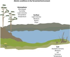 Factors that affect biodiversity: