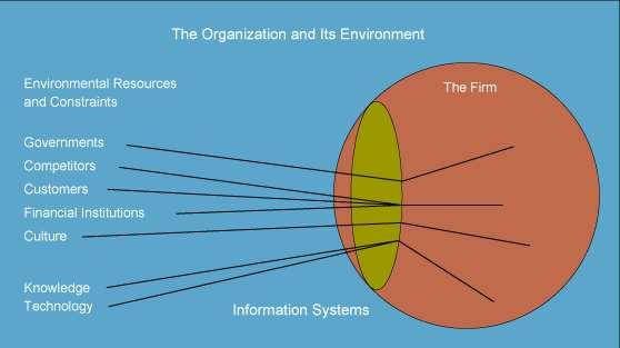 ORGANIZATIONS & INFORMATION SYSTEMS Organization and