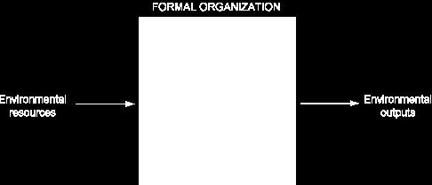COMMON FEATURES OF ORGANIZATIONS The Behavioral View