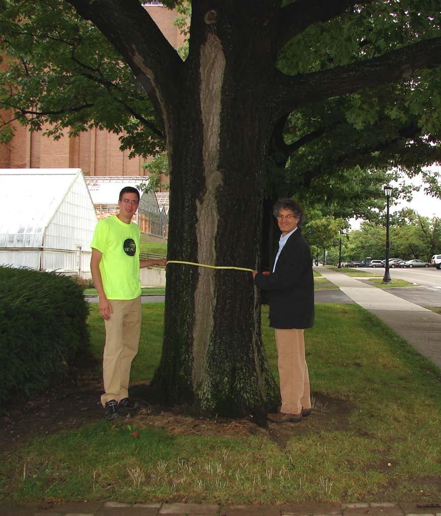 Campus Tree Inventory 7,200 trees on campus were identified and measured Partnership: Horticulture, Planning, Design and Construction (Facilities Services) and CUAES Results: 300