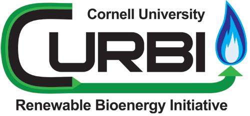 Cornell University Renewable Bioenergy Initiative Using local (CUAES) biomass A living, learning laboratory - teaching, research, extension Five complementary renewable energy technologies -