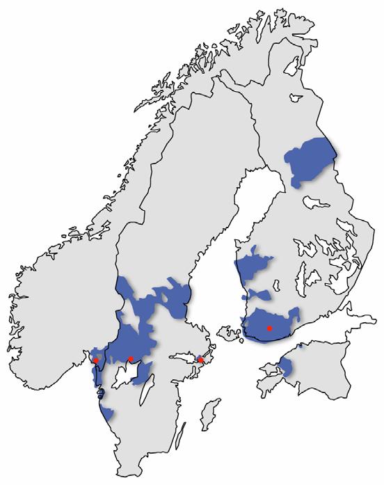 Fortum Distribution 2003 Customers (31.12.2003) Market share 1) 2) Distribution network (TWh/a) Regional network (TWh/a) Sweden 855,000 14 % 14.2 15.8 Finland 400,000 14 % 6.2 5.3 Norway 93,000 3% 1.