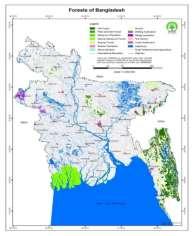 river terrapin (Batagurbaska). Sundarbans Mangrove Forest Bangladesh M inistry of Forest (2014) Figure 1.