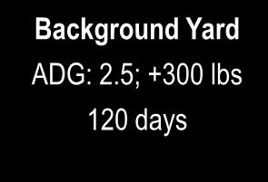 0; +175 lbs 175 days Wheat Pasture ADG: 2.
