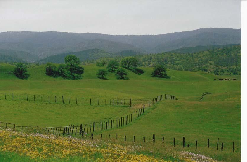 PASKENTA RANCH: 5,526 Acres located about 30 miles southwest of Red Bluff, CA.